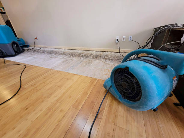 Reliable Crawl Space Water Removal contractor in Chesterfield, NJ by Hirex Water Damage
