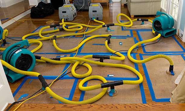 Professional Crawl Space Water Removal technician working in Chesterfield, NJ